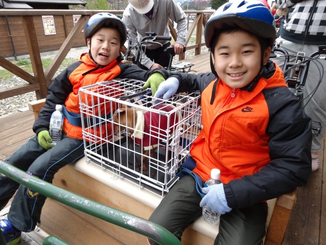 ペットと一緒に旅行しよう！飛騨・高山のおすすめスポット